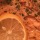 FOOD CRAVE: Baked Salmon & Lemon